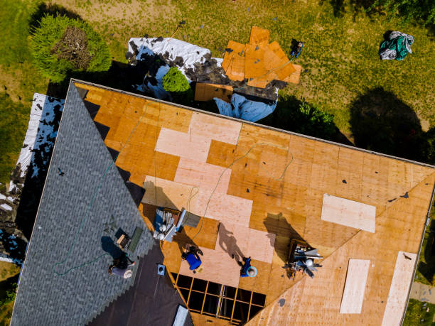 Best Roof Waterproofing Services  in Homestead Meadows South, TX